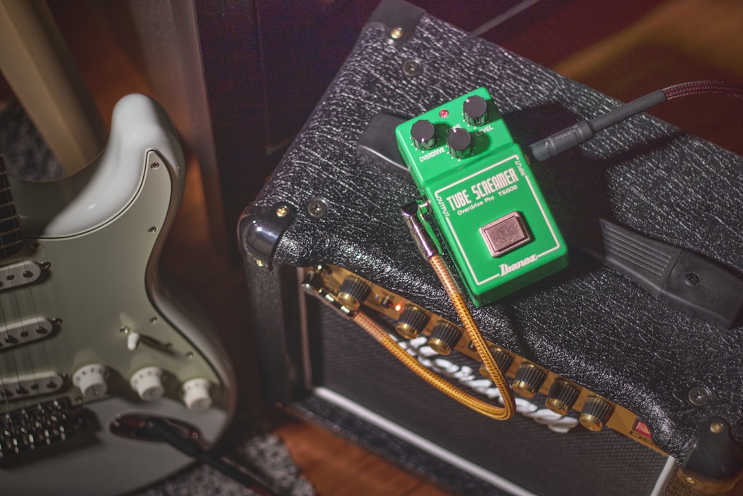 Photo Looper Pedal